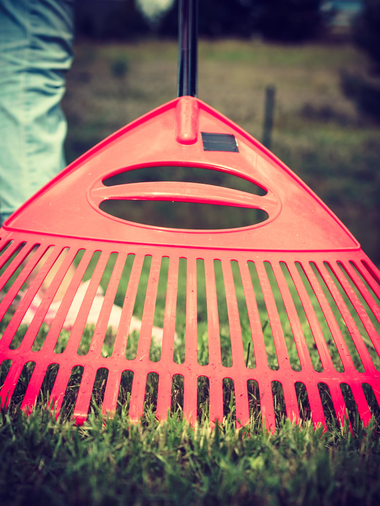 Woman using rake to clean up garden lawn